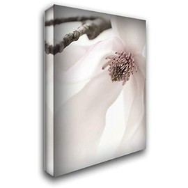 ArtDirect Zalewski, Christine 19x24 Gallery Wrapped Canvas Museum Art Titled: Magnolia Blush I