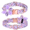 Pimaodog Dog Collar, Girl Dog Collar Puppy Collar Floral Pattern