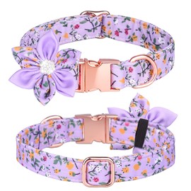 Pimaodog Dog Collar, Girl Dog Collar Puppy Collar Floral Pattern Dog Collar Cute Dog Collar with Detachable Rhinestone Flower for Female Dogs Small Medium Large (L:38-60cm, Purple)