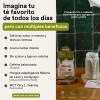 Matcha en Polvo UNRULED FOODS con Hongos Adaptógenos Pack 10