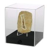 Safe 5288 Präsentations-Cube – Acryl-Vitrine mit schwarzem Velours-Holzsockel, staubgeschützt, für
