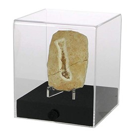 Safe 5288 Präsentations-Cube – Acryl-Vitrine mit schwarzem Velours-Holzsockel, staubgeschützt, für Sammlerstücke & Modellautos 120 x 120 x 140 mm