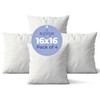 BLUSPEAR Set of 4, 16x16 Pillow Inserts | Machine Washable,
