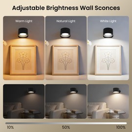 Fuligent Rechargeable Wall Sconce, Dimmable LED Reading Light with Remote Control & Timer, 3 Color Temps Battery Operated Cordless Wall Lights for Living Room Hallway, 3 Pack - Black