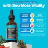 Ashwagandha & Turmeric Liquid Drops - Vitamin C, Sea Moss,