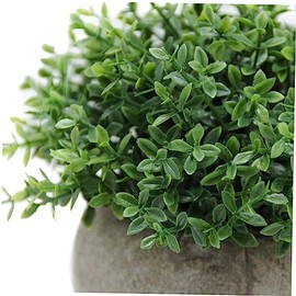 Plantas Verdes Plantas En Macetas Plantas Artificiales Kit De Decoración Mini Césped Artificial En Maceta                                             