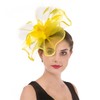 SAFERIN Fascinator Hat Feather Mesh Net Veil Cocktail Tea Party