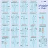 Introduction to Cupping Therapy Guide Book, Basic Version, Comprehensive Guide