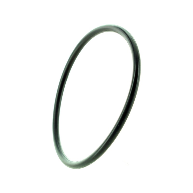 Can-Am New OEM Spyder Gearbox Housing Assembly Rubber O-Ring, 420831160