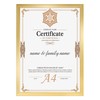 Ditwis Picture Frame A4 Gold, Frame DIN A4 for 21