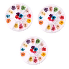 Healvian Colorful Dried Flower Nail Art Supplies Petal Plum Blossom Stickers for Creative Manicure Easy to Carry for Nail Art Enthusiasts