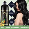 SINYI Champú Instant Hair Color para Cabello 500ml，Champú para Teñir