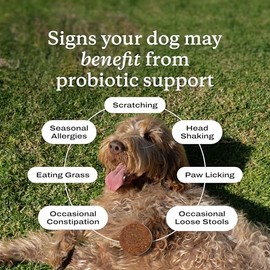 PetLab Co. Probiotics for Dogs - Support Gut Health, Occasional Diarrhea, Digestive Health, Paw Licking & Seasonal Allergies - Pork Flavor - 30 Soft Chews - Formulated for Small Dogs