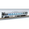 Entering N gauge G0003 room light, double width, two white