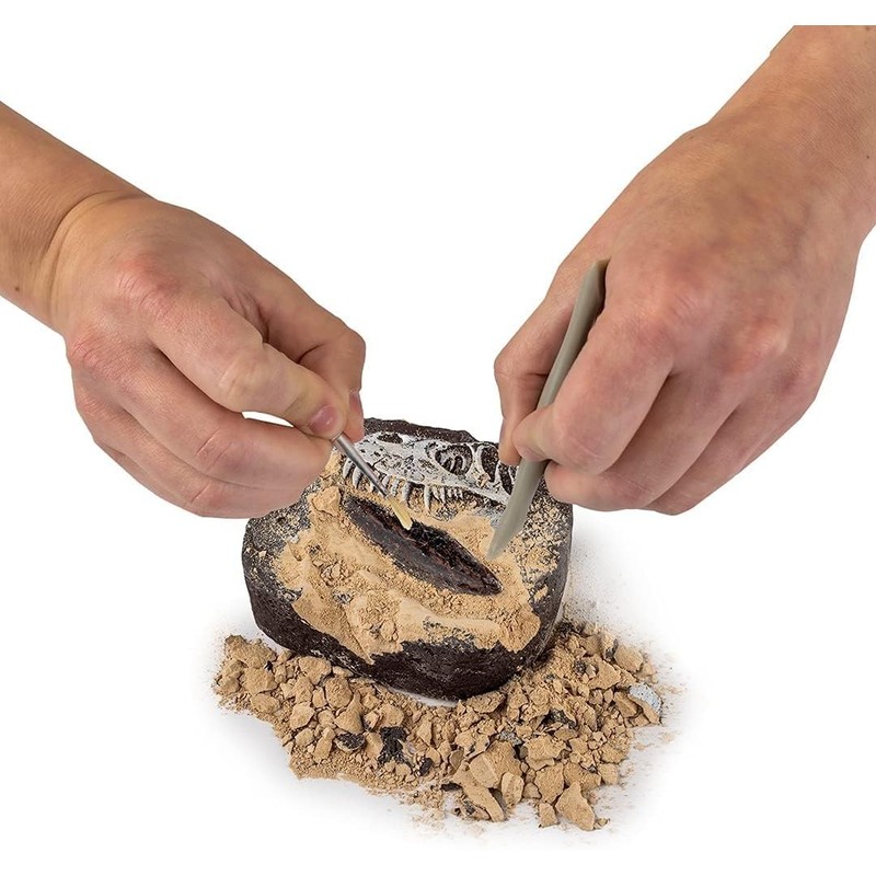 National Geograpic Dino Dig Kit