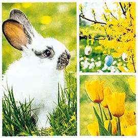 20 Small Cocktail Napkins Collage for Spring | Rabbit | Flowers | Table Decoration | Decoupage | Decoupage | Decoupage | Decoupage | 25 x 25 cm