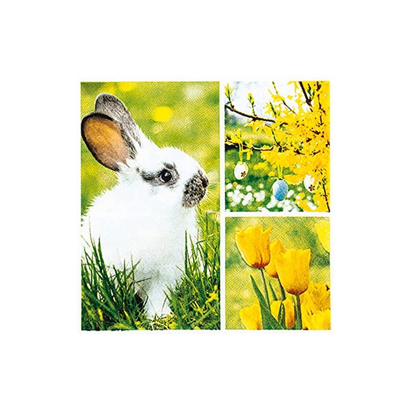 20 Small Cocktail Napkins Collage for Spring | Rabbit |