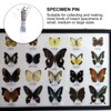 POPETPOP Collection Ornament Kits 200Pcs Stainless Steel Specimen Entomology Dissection