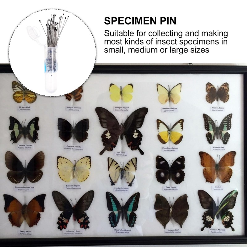 POPETPOP Collection Ornament Kits 200Pcs Stainless Steel Specimen Entomology Dissection