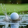 Second Chance Recycled Lake Golf Balls, 12 Pack, Mixed Golf