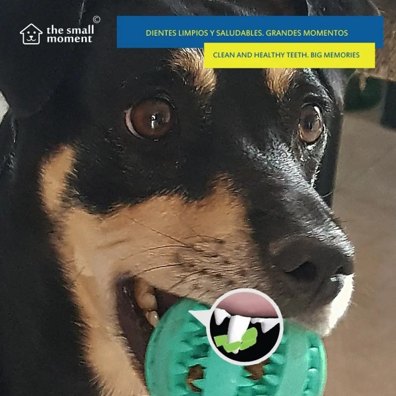 Pelota Para Perro De Plástico Higiene Dental (2 Pz.) 7