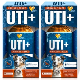 Cat Urinary Supplement in Drops | Dog UTI Treatment | Cat UTI Treatment | Natural Dietary Supplement for Pets | Dog & Cat UTI Remedy with Turkey Flavor | 2 Packs x 2 oz