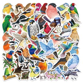 AUCEKO Colourful Bird Stickers 50 Pcs Watercolor Birds Sparrow Cute Aesthetic Diary Travel Paper Junk Journal Stickers Scrapbooking Stationery Sticker Flakes Art Supplies