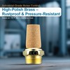 VIILOCK Brass Pneumatic Mufflers, 3/8" NPT Male Thread Hex Sintered