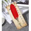 Gullor Calligraphy Feather Quill Pen and 5 Calligraphy Nibs for