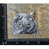 Unbranded GRUMPY CAT Kitten Pet Animal Feline Kitty Embroidered Iron-On