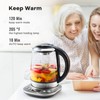 Mecity Electric Tea Kettle Borosilicate Glass Tea Maker With Temperature