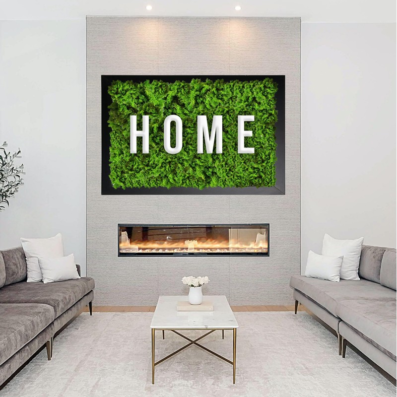 Eurofoto Iceland Moss Preserved – Moss for Crafts and Decoration