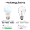 GLOWNOVA 8-Pack Cool White LED Bulbs - Revitalize Bedroom &