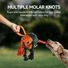 ALL FOR PAWS Dog Toys 13.8 Inches - Durable Tug-of-War,