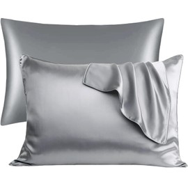 【2 Pack】 Mulberry Satin Silk Pillowcase, H HOME-MART 20"x 30" Satin Silk Pillowcases for Hair and Skin, Queen Size Pillow Case with Envelope Closure (Silver)