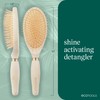 EcoTools Shine Activating Detangler Hairbrush, 1 Count