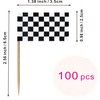 Checkered Black and White Racing Toothpick Flag Race Car Small