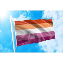 DMSE Pride Series Flag 3X5 Ft Foot 100% Polyester 100D Flag UV Resistant (Lesbian Sunset)