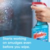Windex Glass and Window Cleaner Spray Bottle, Bottle Made from