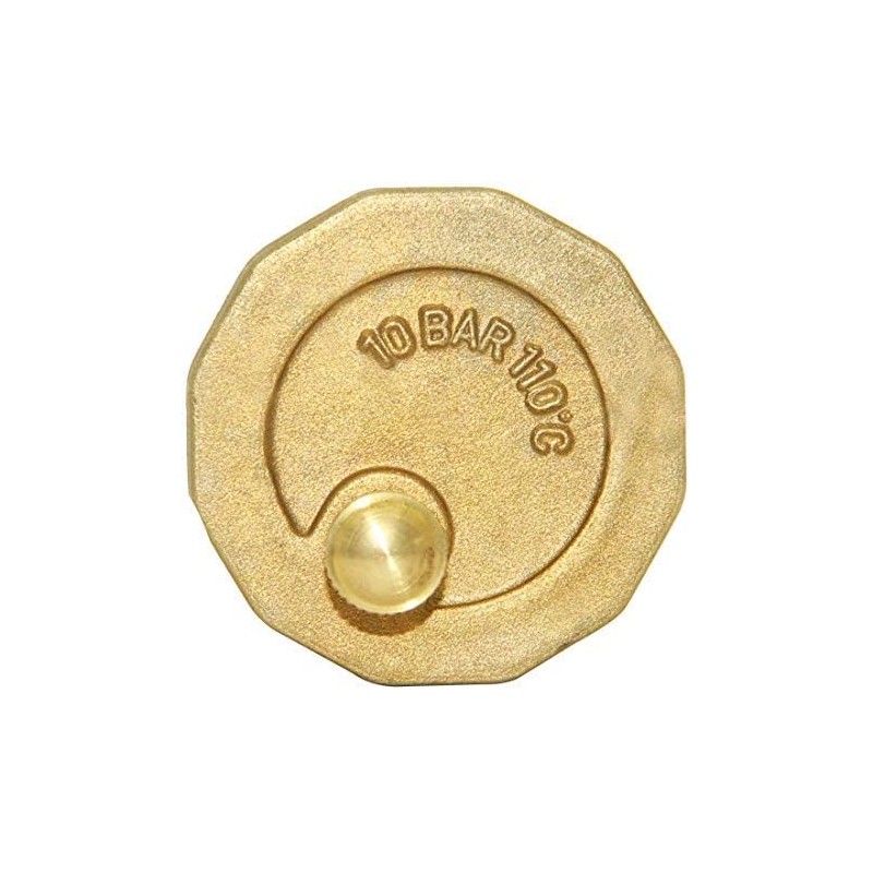 Beduan Brass 10500-VE Automatic Float Valve, 1/4" Male Thread Air