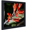 Uzifa 10x12 Inch Picture Frame WOOD without Mat For Display