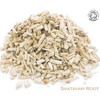 Organic Shatavari Root Pure Herbal Infusion (25 Unbleached Tea Bags