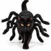 Spider Costume for Cats & Small Dogs – Black Halloween