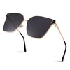 FEISEDY Women Trendy Sunglasses Oversized Square Fashion Designer Style Large