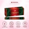 HEM Citronella Incense Sticks - 120 Count for Relaxation