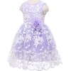 Bow Dream Rustic Flower Girl Dress Bridesmaid Lace Lavender 2