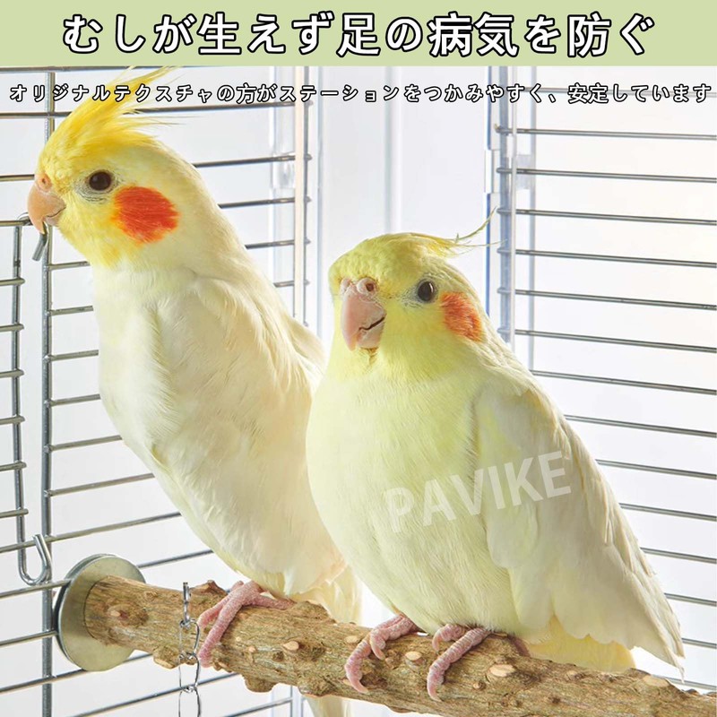PAVIKE Bird Perch Stunt Stage Claw Sharpening Swing Wooden Bells