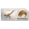 TAKARA TOMY Ania Jurassic World Steeped Hunter Dinosaur Set Animal