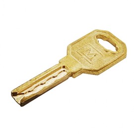 Master Key Lock for Locker Room Management Dedicated
