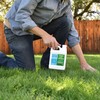 Advanced 16-4-8 Lawn Fertilizer - Liquid Lawn Food Spring &